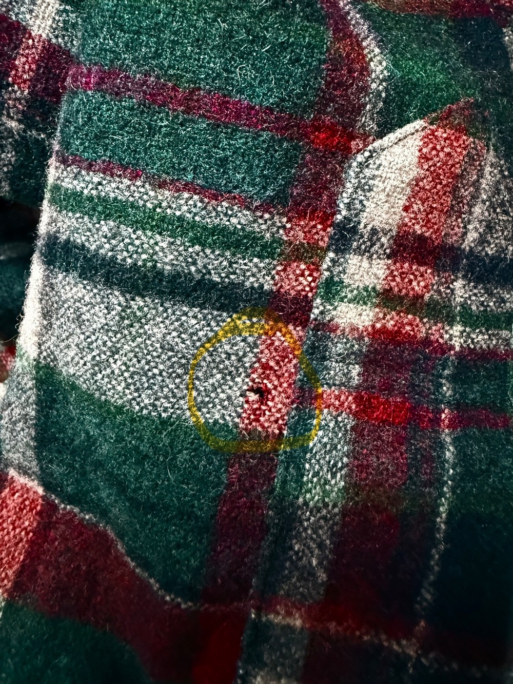 Pendleton - Picture 4 of 8